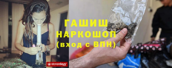 ПСИЛОЦИБИНОВЫЕ ГРИБЫ Алексин