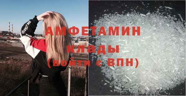 ПСИЛОЦИБИНОВЫЕ ГРИБЫ Алексин