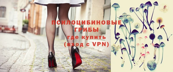 дурь Алексеевка