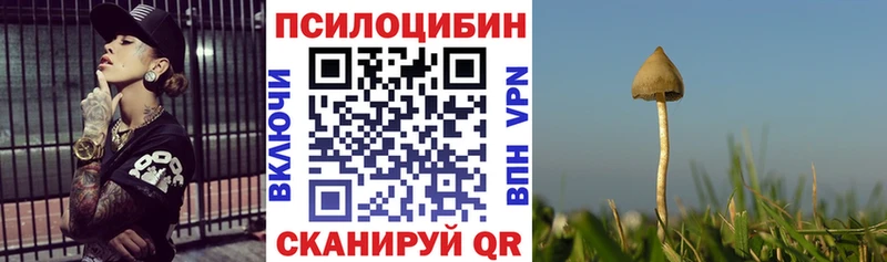 Галлюциногенные грибы Cubensis  Макушино 